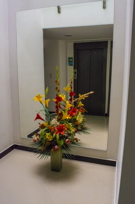 Conozca nuestras modernas y confortables instalaciones